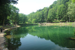 IMG2_9829.JPG