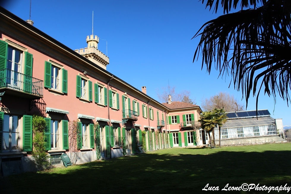 IMG9_7590.jpg