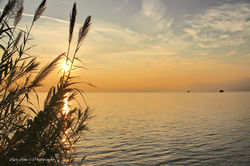 IMG4_7693_Fotor.jpg