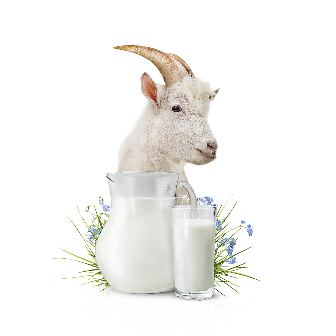 GoatMilk.webp
