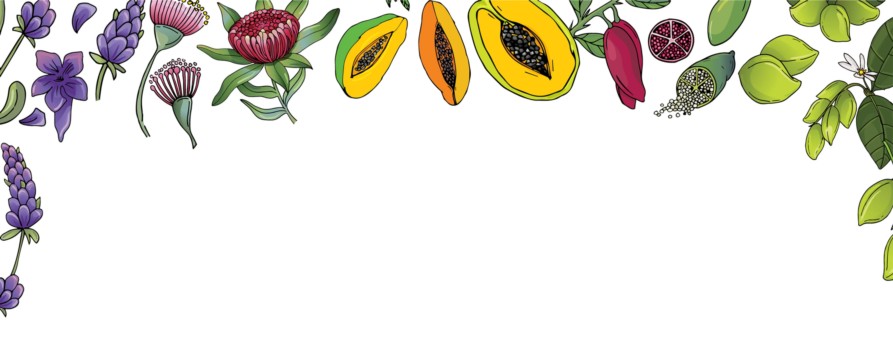 570242_e9040c0c7e954267a57e7ee3c8d3ac24_mv2.webp