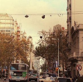 11410480_852937208075441_831532333_n (1)