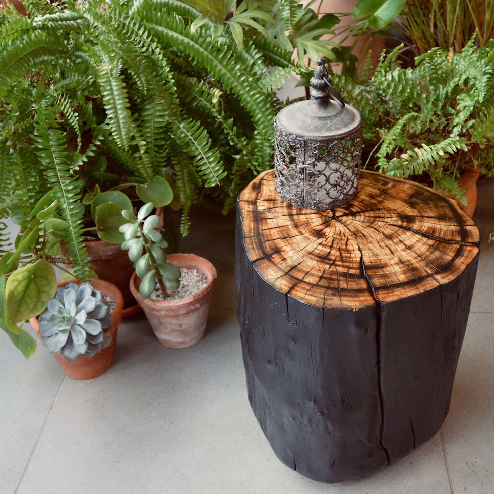 Thumbnail: Trunk Table