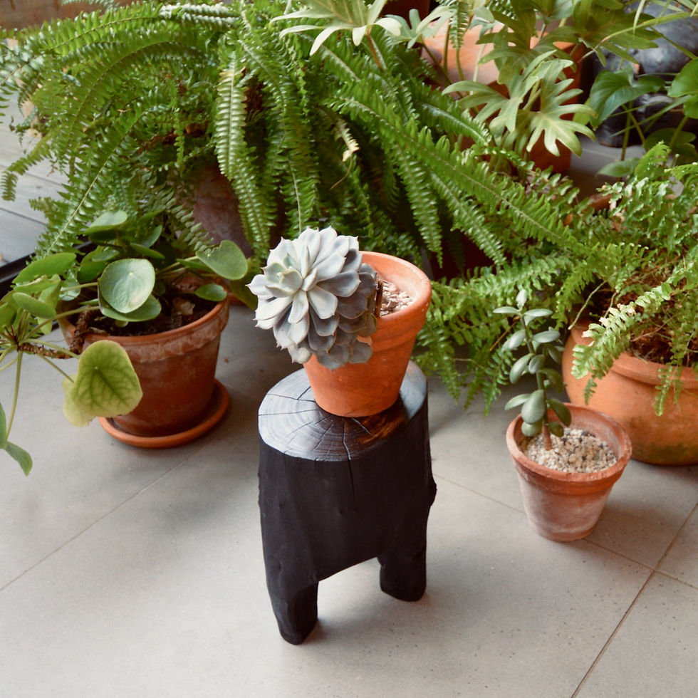 Thumbnail: Plant Stand