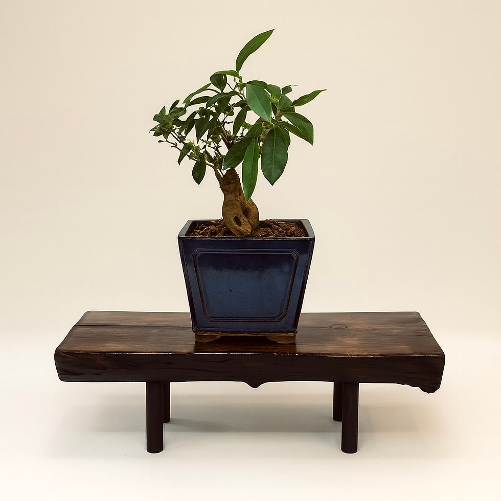 Thumbnail: Split branch table
