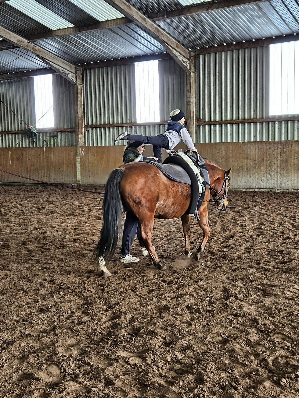 Voltigieren auf Lady