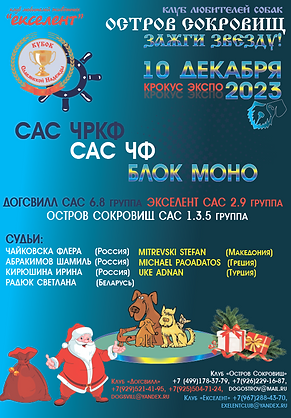 РекламаВыставки_10.12.23_Монтажная область 1.png