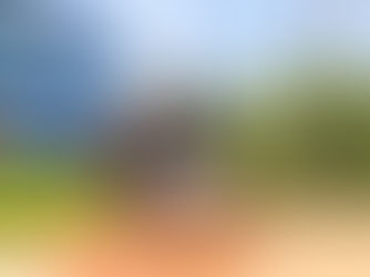 6 Disney Movies to Binge Before Staying at Disney's Art of Animation Resort