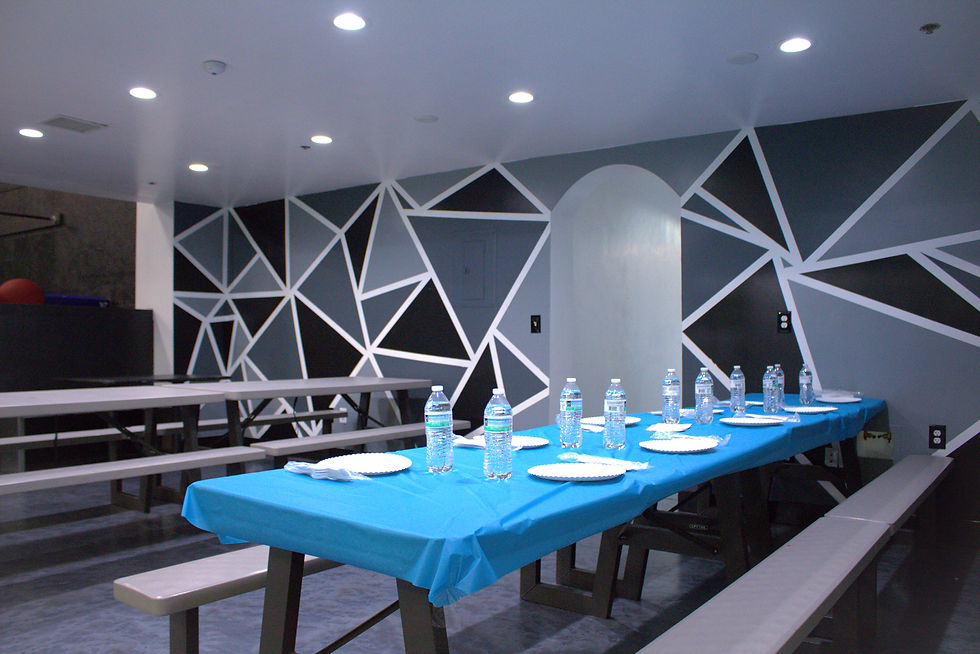 Downstairs Party Area