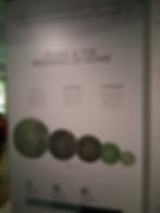 Infographic titled "Aging & the Meaning of Home" with charts showing aging population statistics from 1950 to 2050, and associated challenges.