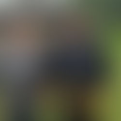 Ray Catton comes close in the 3rd/4th Division Merit