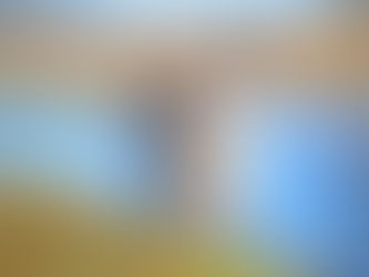 Hoe goed ken je je huisdier echt?