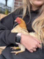 Rosina tijdens sessie