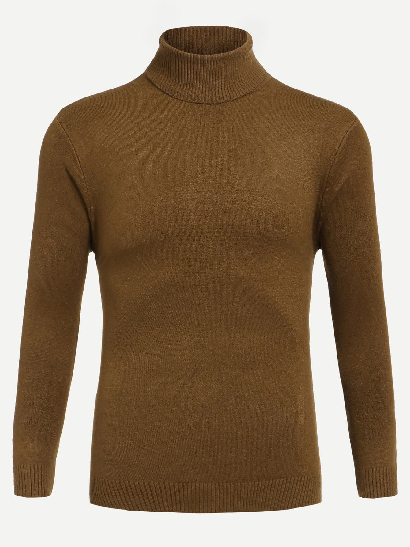 Men Turtleneck Solid Sweater