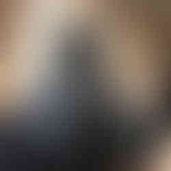 The most popular protective hair style