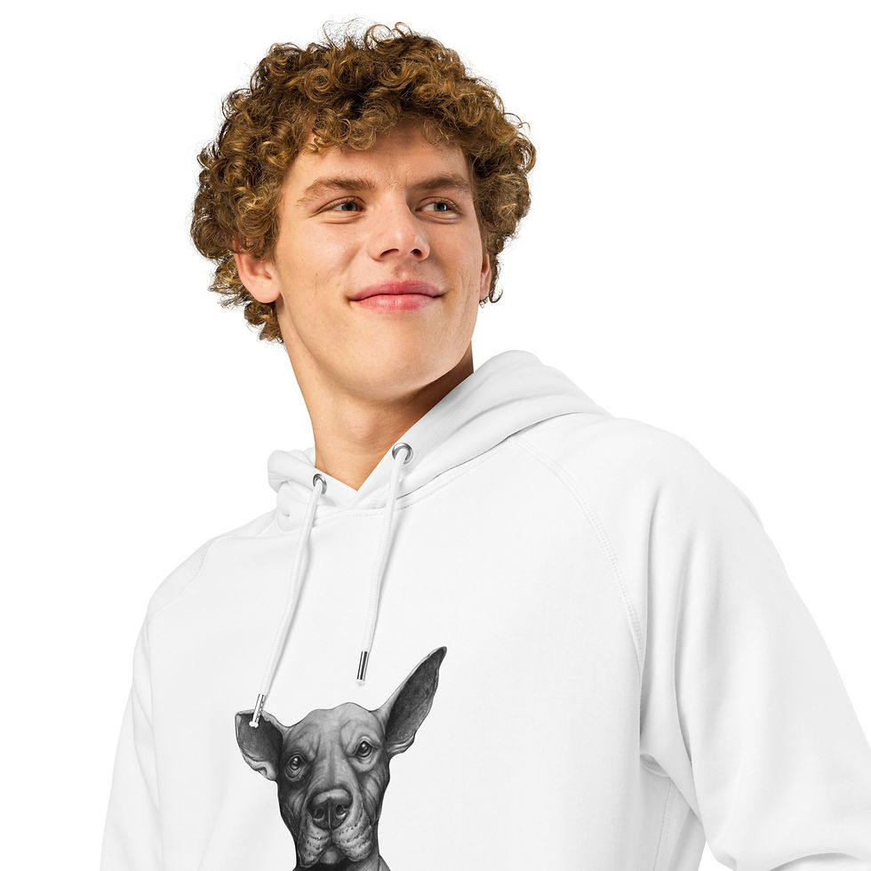 Miniature : Obican Illustrated - Unisex organic side pocket hoodie