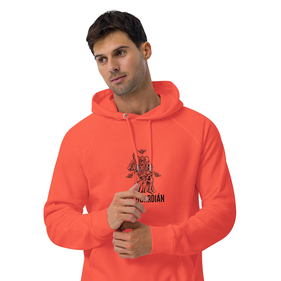Miniature : Bee Guardian - Unisex eco raglan hoodie