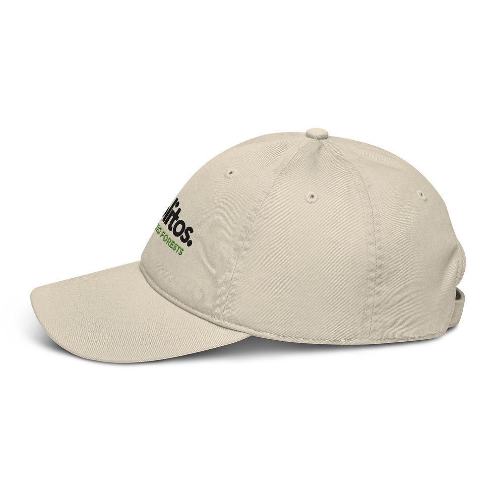 תמונה ממוזערת: Arbolitos Black - Organic dad hat