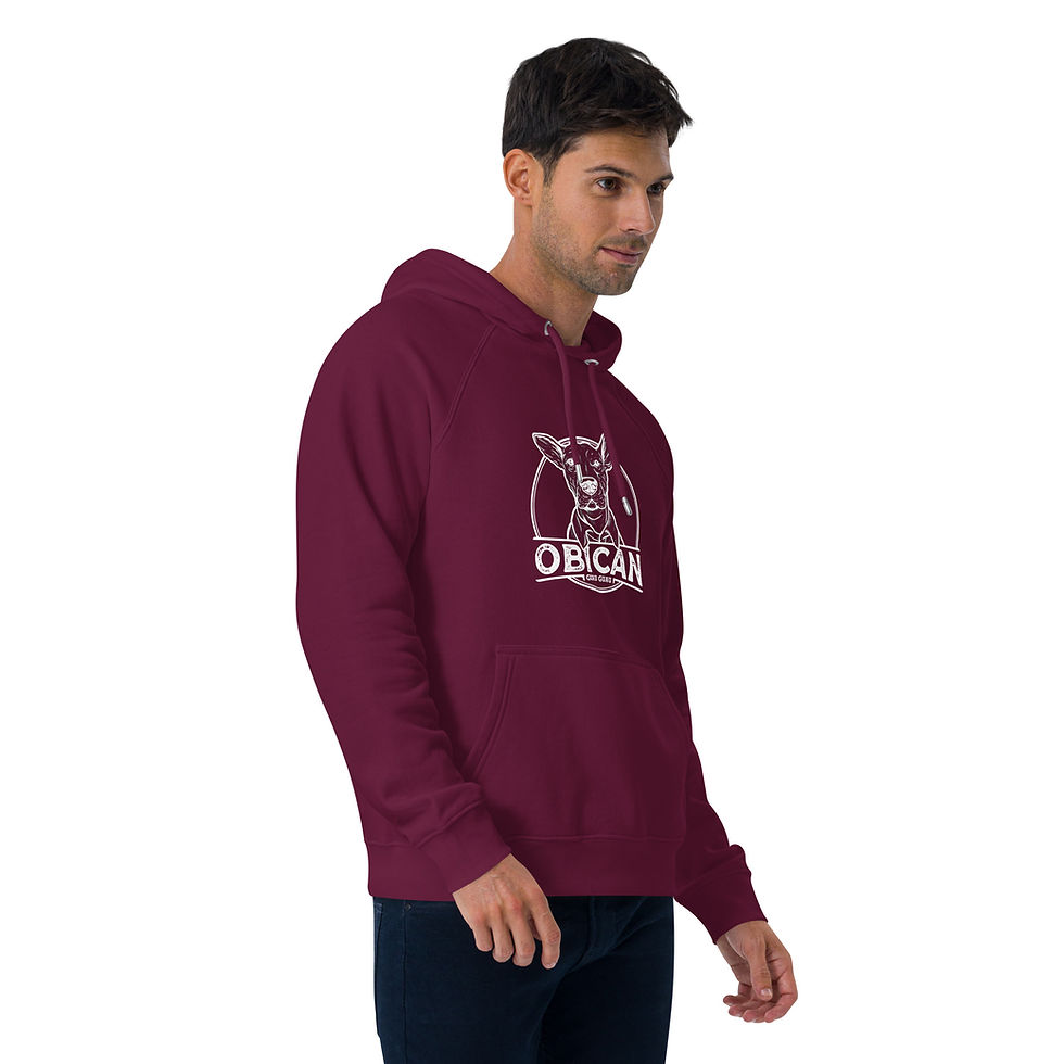 Miniaturbild: Obican Guau Guau Shades - Unisex eco raglan hoodie