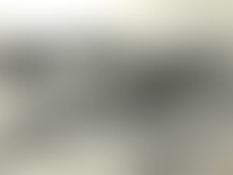 LA COSTITUZIONE DEL 1848 A NAPOLI E LE LOTTE POLITICHE INTESTINE A VIESTE