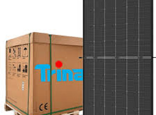 Trina.jpg