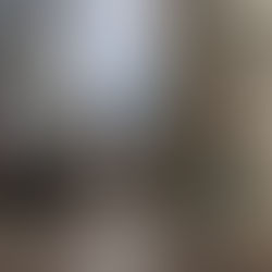 Downtown Chicago Shelter in Place