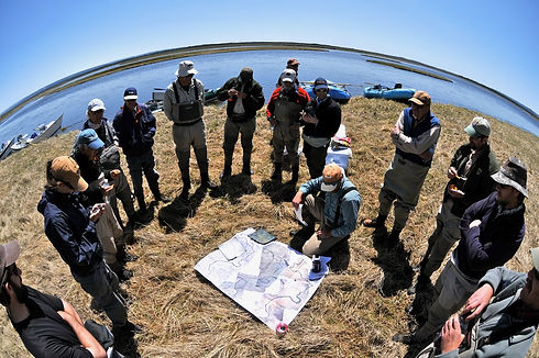 Protect, defend or restore?