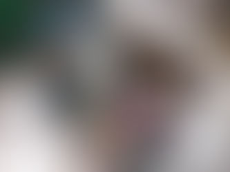 Miért fontos a rendszeres fogászati ellenőrzés Kedvenceinknél is?