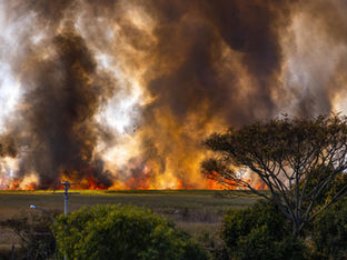 Wildfire Protection for Resorts: How Rainstream™ Mobile Rain Towers Can Protect Your Business