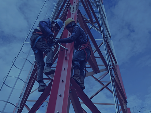 TORRES WEB_edited.png