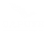 capufe logo.png