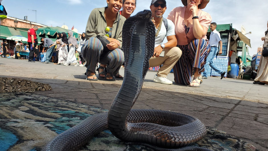 ZED Travel for Dummies (Oct 2019)