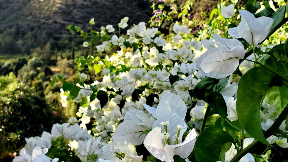 The Atlas Mountains of Morocco 