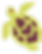 turtle.png