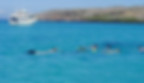 Small group of snorkelers near Santa Fe Island with typical small passenger cruise yacht in background
