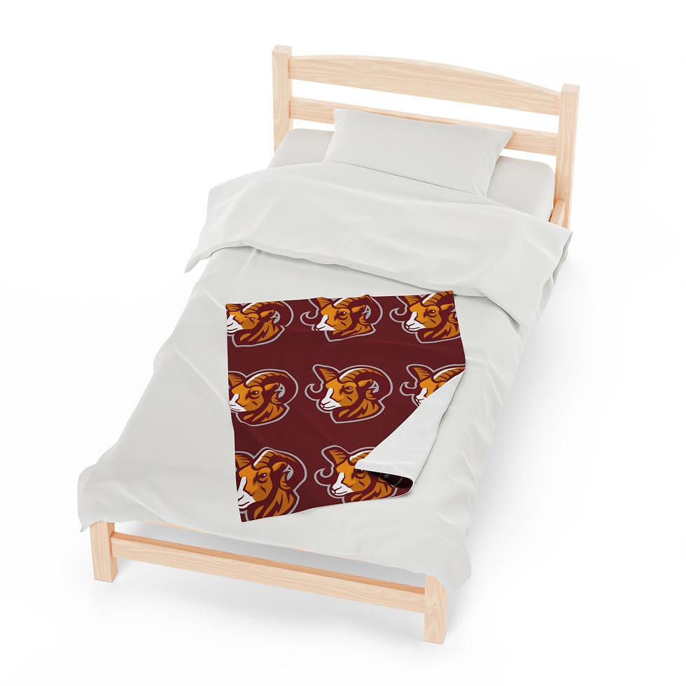 Thumbnail: Gloucester Catholic Plush Blanket