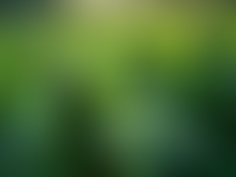 Unlocking Healing: How Cannabis and Reiki Create Energetic Harmony