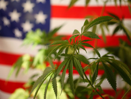 Biden Administration Initiates Reclassification of Marijuana, Aiming to Shift from Schedule I to Schedule III