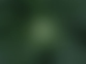 The Green Screen: How Cannabis is Portrayed in Media and Entertainment