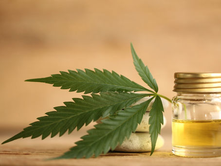 CBD for Beginners: Understanding Its Uses and Benefits