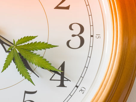 4:20 - A Time, A Tradition: Unveiling the Roots of Cannabis Culture's Iconic Number