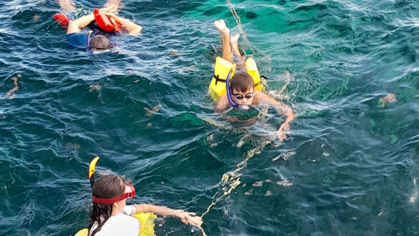 Snorkeling in Buccoo Reef