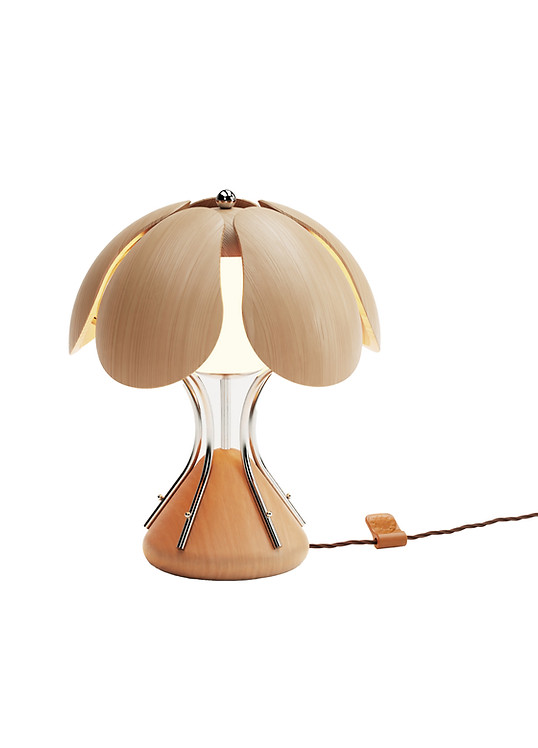 021125_Rubus White light on Compressed.jpg