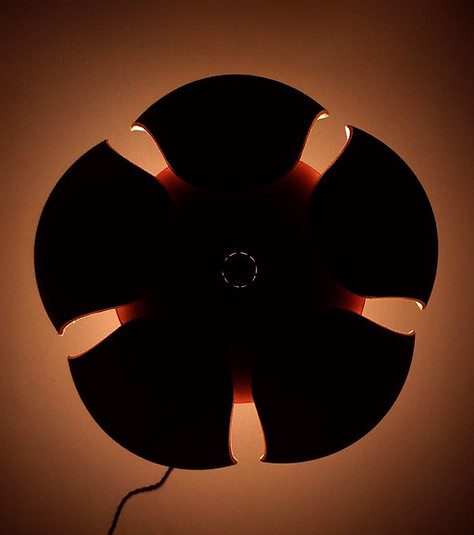 Alex Radivan - LIA Posters_Page_5_Image_0001.jpg