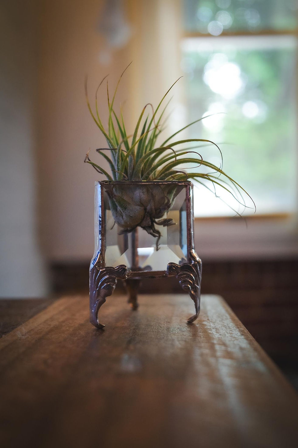 Thumbnail: Air Plant Unique Vintage Stained Glass Display Holder With Legs