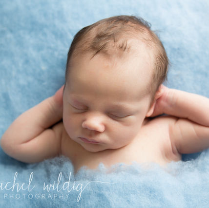 Newborn Session | Ned