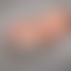 Newborn Session | Koda