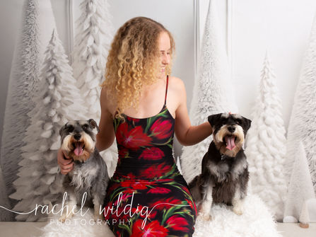 Christmas Mini | Stead