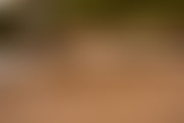 Family Session | Rampton