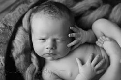 Newborn Session